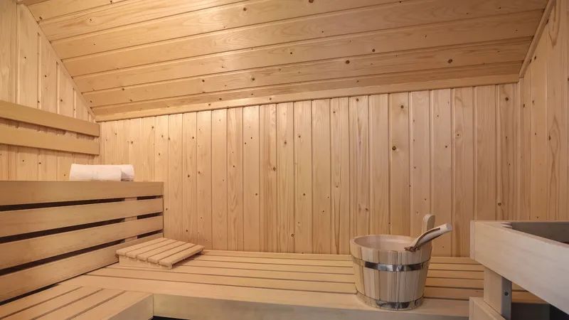 Unterkunft 190310 - Bungalow Zuidoost Drenthe - Aelderholt | 4-persoons wellnesswoning | 4ELW