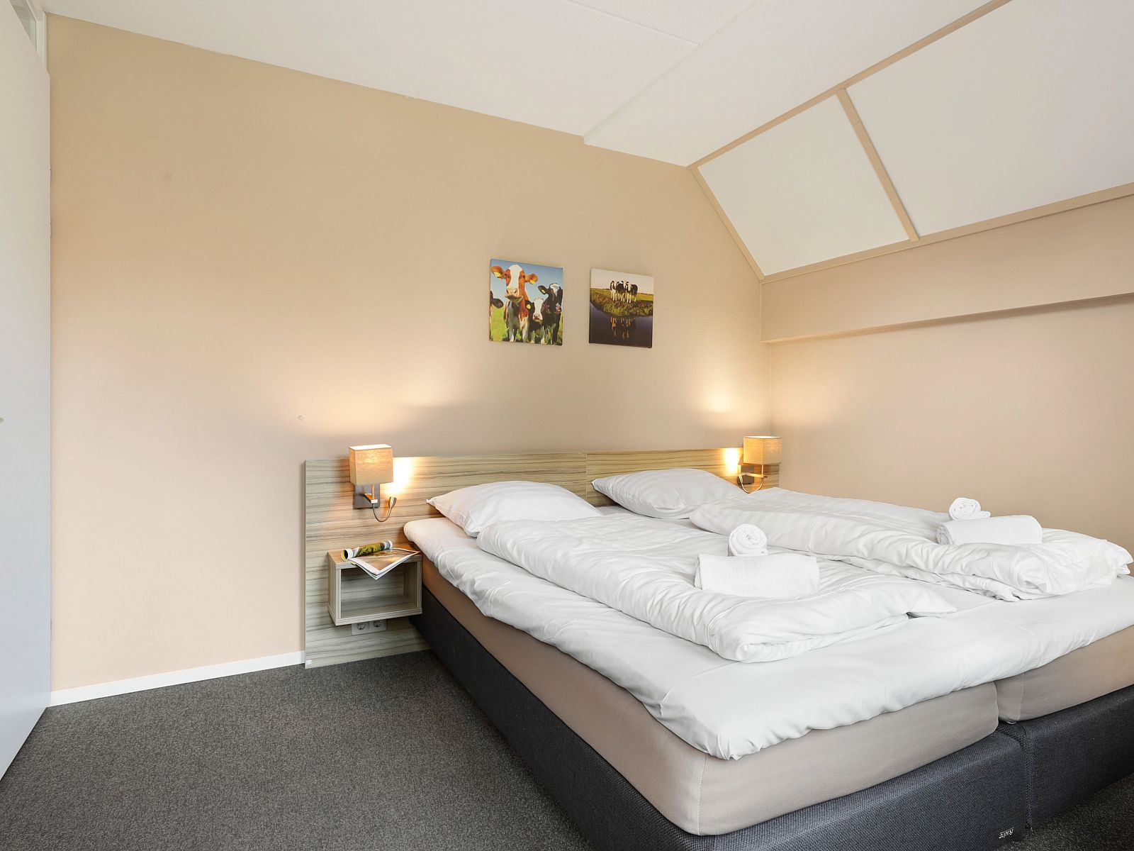 Unterkunft 190356 - Bungalow Zuidoost Drenthe - Aelderholt | 12-persoons bungalow | 12EL