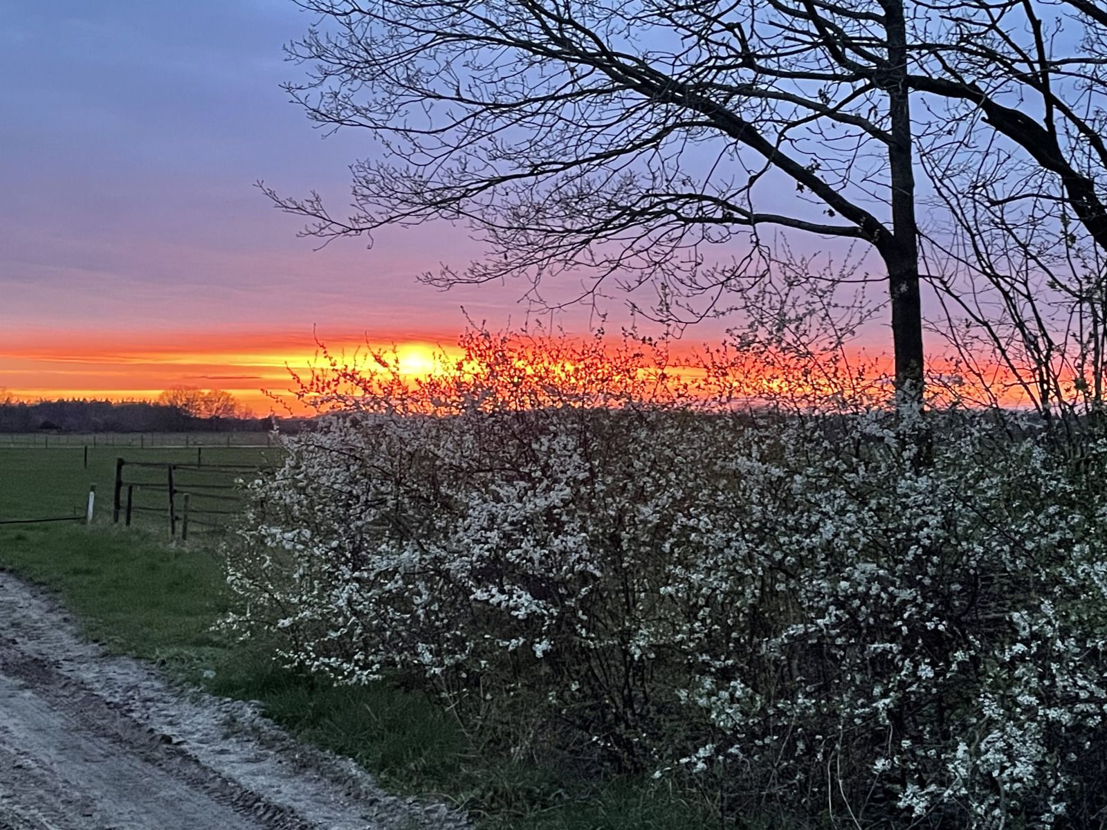 Schoenes Schlafzimmer im Ferienhaus DG280 in Exloo, Suedost-Drenthe, mit natuerlichem Licht und ruhiger Umgebung.