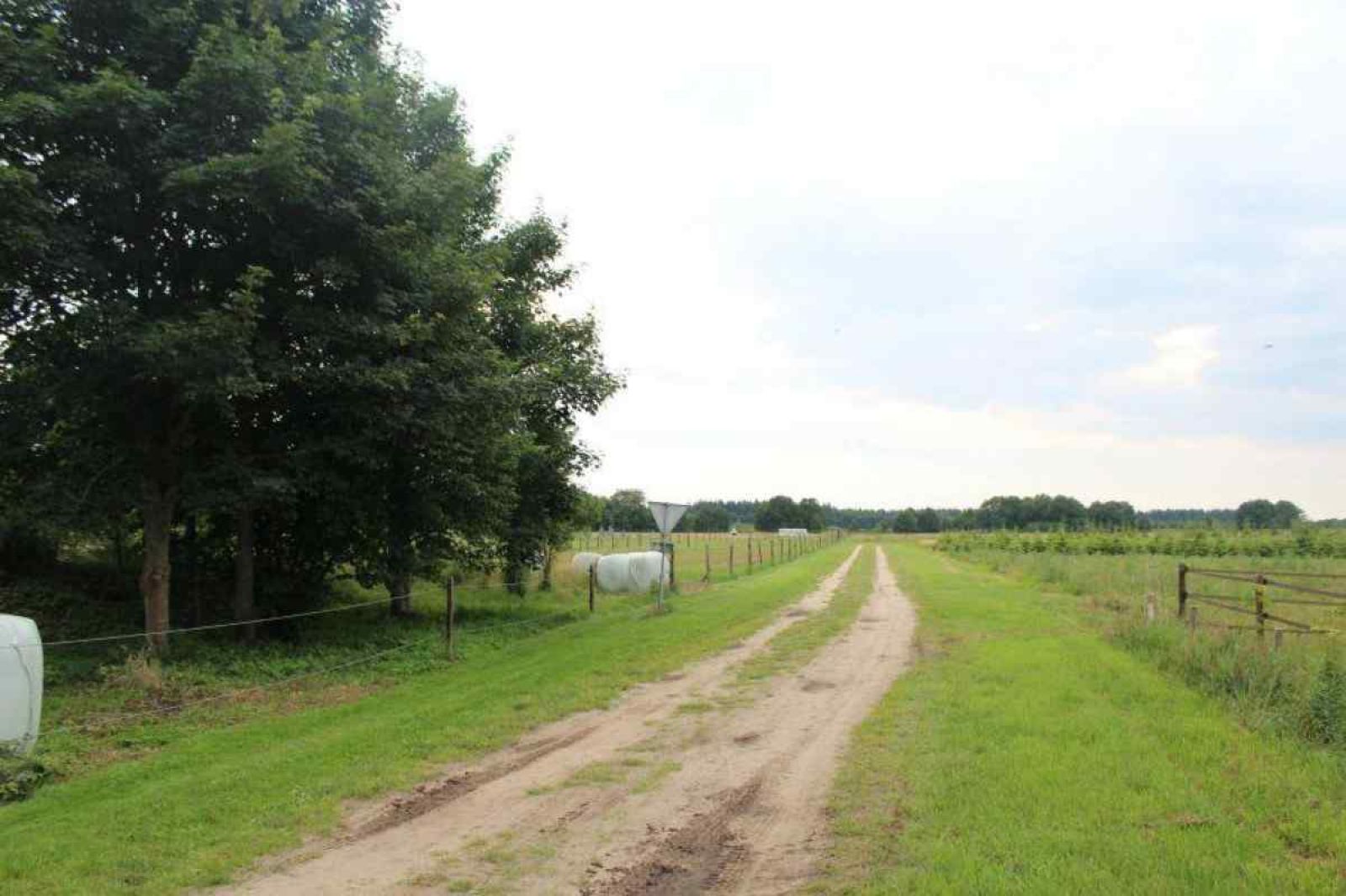 Schoener Sonnenuntergang am Ferienhaus DG280 in Exloo, Suedost-Drenthe, umgeben von bluehender Natur und ruhigen Landschaften.