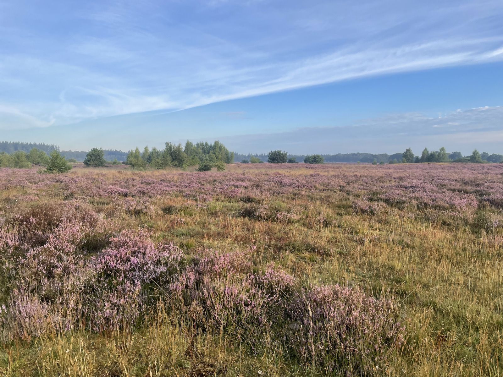 Unterkunft 190409 - Ferienhaus Zuidoost Drenthe - DG280