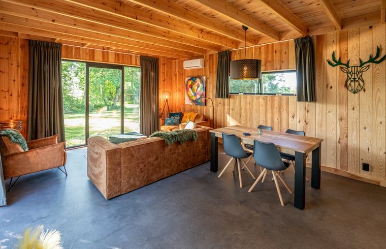 Dining and sitting area in Holiday home in Dalerveen, Southeast Drenthe, perfect for family gatherings.