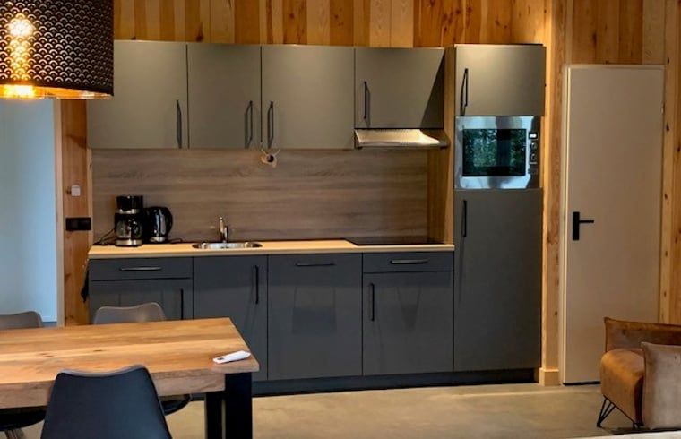 Fully equipped kitchen in Holiday Home in Dalerveen, Southeast Drenthe with modern appliances.