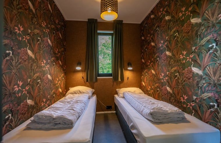 Second bedroom in Holiday Home in Dalerveen, Southeast Drenthe with two single beds and colorful wallpaper.