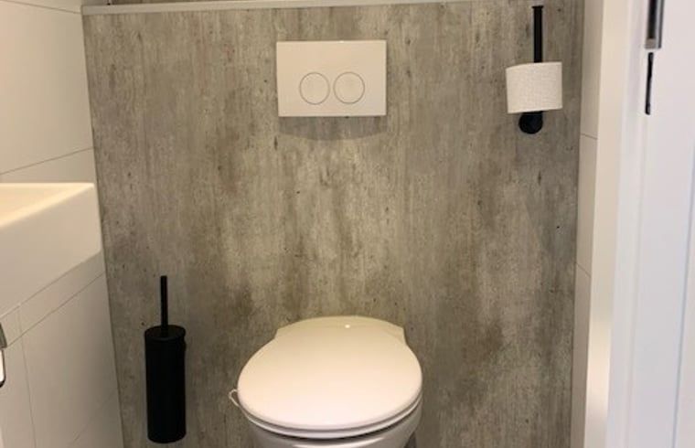 Sleek and modern bathroom in Holiday Home in Dalerveen, Southeast Drenthe with toilet and sink.