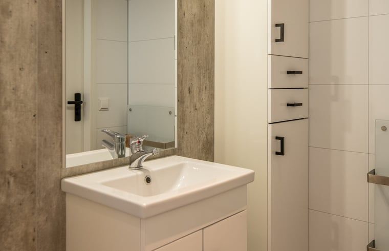 Stylish sink and mirror in the bathroom of Holiday Home in Dalerveen, Southeast Drenthe.