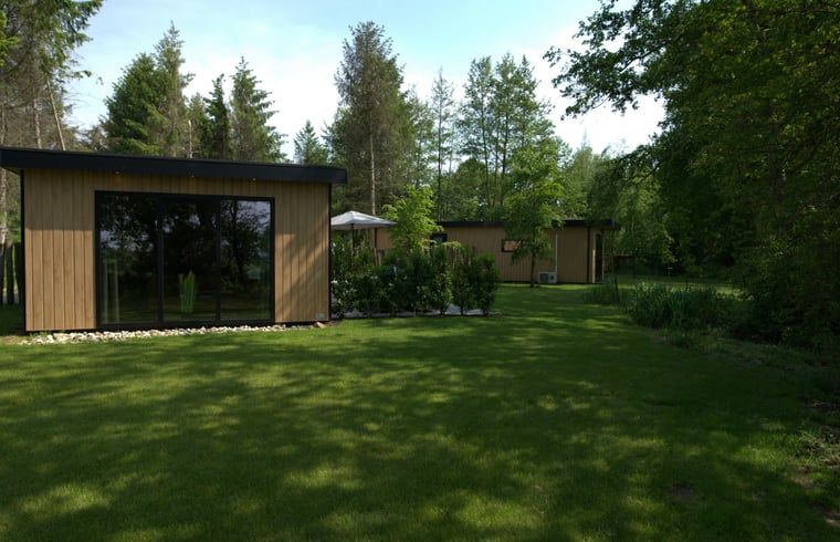 Green surroundings around Holiday cottage in Dalerveen, Southeast Drenthe with lots of privacy and tranquility.