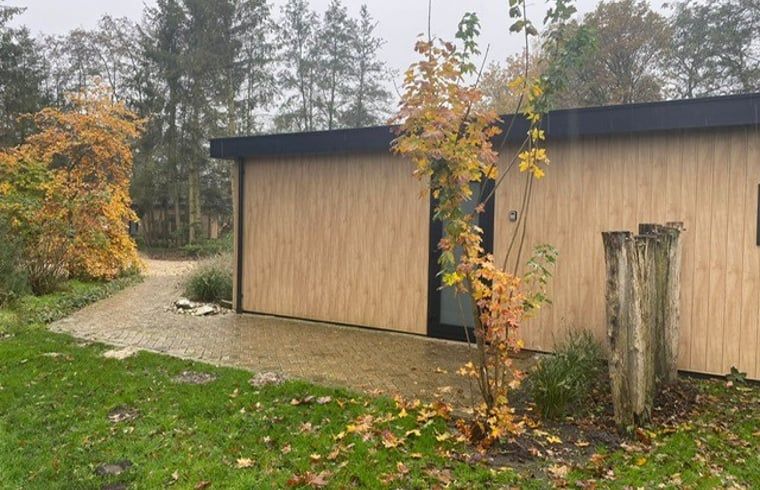 Autumn colors adorn the entrance to Holiday Home in Dalerveen, Southeast Drenthe, perfect for an autumn stay.
