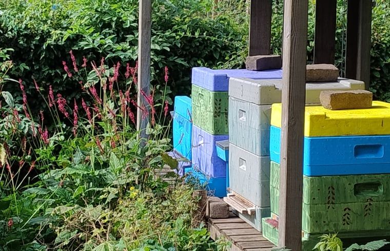 Verblijf 191008 - Vakantiewoning Zuidoost Drenthe - Vakantiehuisje in Dalerveen