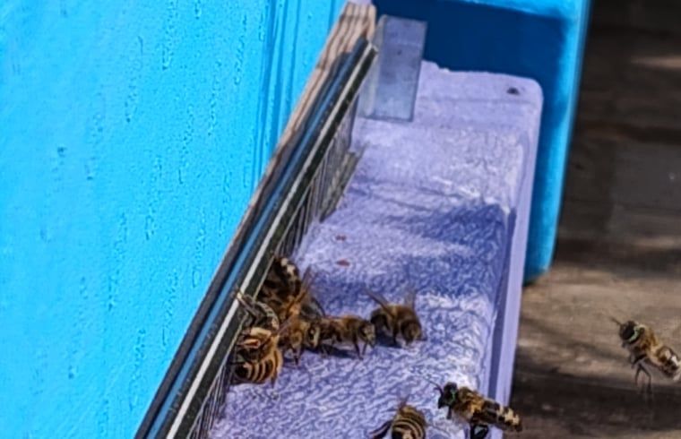 Verblijf 191008 - Vakantiewoning Zuidoost Drenthe - Vakantiehuisje in Dalerveen