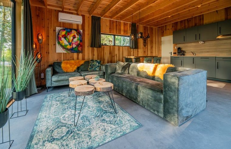 Moderne woonkamer in Vakantiehuisje in Dalerveen, Zuidoost Drenthe, met open keuken en comfortabele zitplaatsen.
