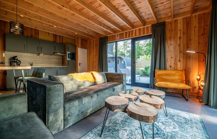 Stijlvolle binnenruimte van Vakantiehuisje in Dalerveen, Zuidoost Drenthe, met zicht op het terras.