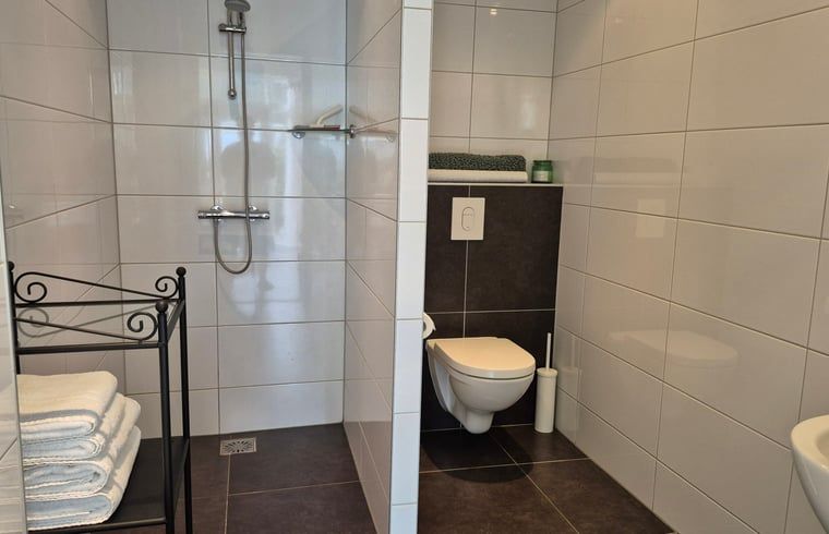 Modern bathroom in Holiday Home in Dalerveen, Southeast Drenthe, with spacious shower and stylish tiles for a comfortable stay.