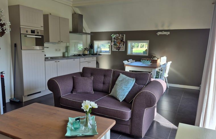 Gemuetliches Wohnzimmer des Ferienhauses in Dalerveen, Suedost-Drenthe, komplett mit moderner Kueche und Essecke, ideal fuer einen entspannten Aufenthalt.