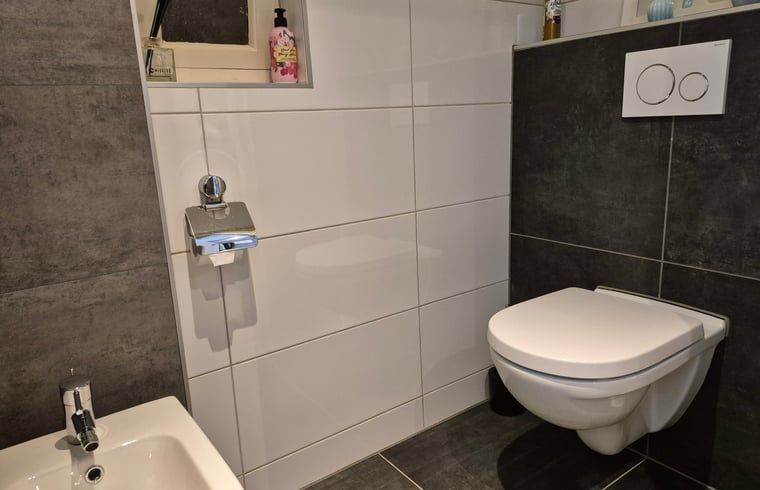 Modernes Badezimmer im Ferienhaus in Dalerveen, einem Ferienhaus im Suedosten von Drenthe. Stilvolle Sanitaerkeramik und moderne Fliesen fuer optimalen Komfort.
