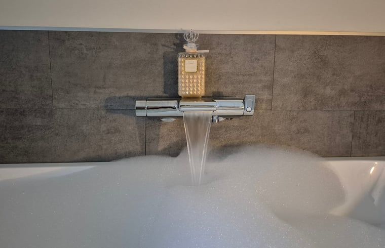 Unterkunft 191017 - Ferienhaus Zuidoost Drenthe - Huisje in Dalerveen