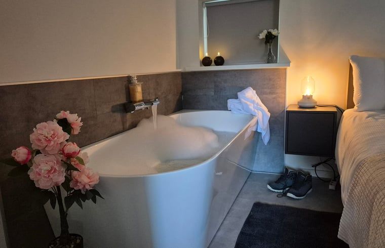 Unterkunft 191017 - Ferienhaus Zuidoost Drenthe - Huisje in Dalerveen