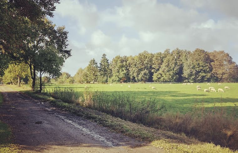Unterkunft 191117 - Ferienhaus Zuidoost Drenthe - Huisje in Emmen