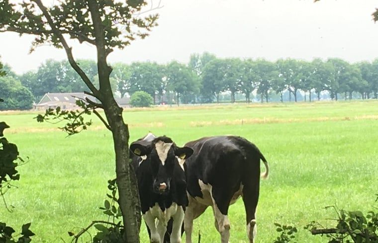 Breathtaking sunrise at Cottage in Dalen, vacation home in Drenthe with sweeping views.