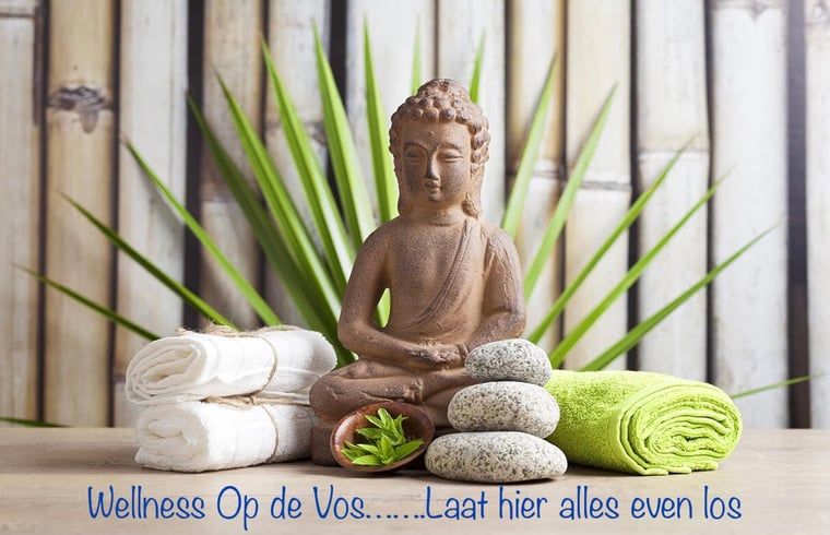 Wooded area of Cottage in Dalen, vacation accommodation in Dalen ideal for walks.