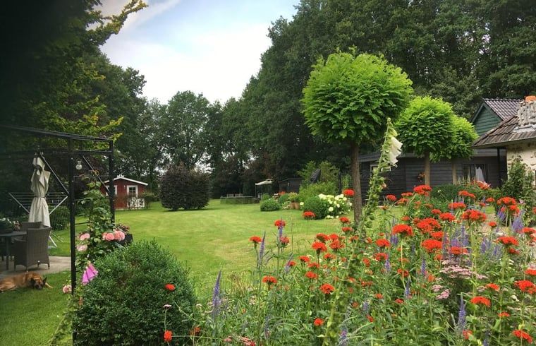 Guest house 191207 - Holiday property Zuidoost Drenthe - Huisje in Dalen (dorp)