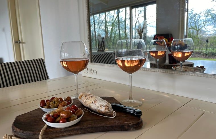 Gemuetlicher Wein und Snacks im Huisje in Gees, Ferienhaus im Suedosten von Drenthe, mit Blick auf den Garten.