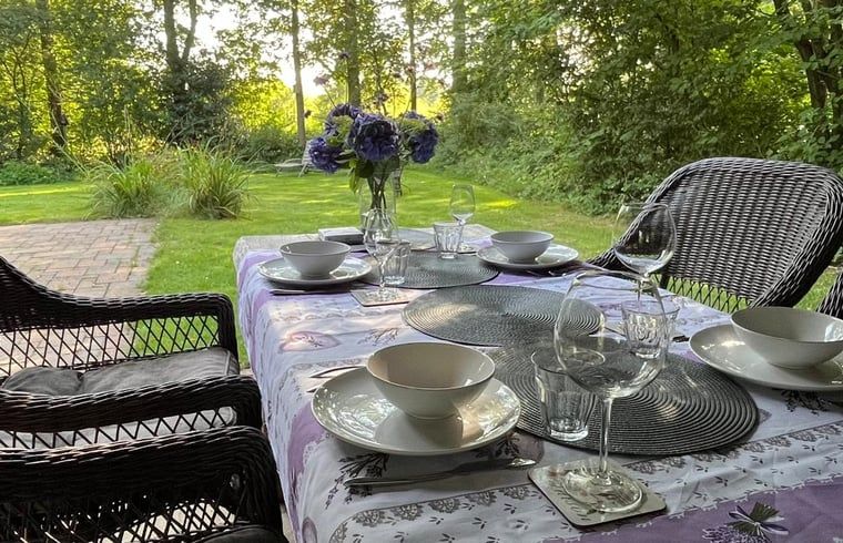 Essen im Freien im Garten von Huisje in Gees, einer Ferienunterkunft im Suedosten von Drenthe, mit Blick auf die Natur.