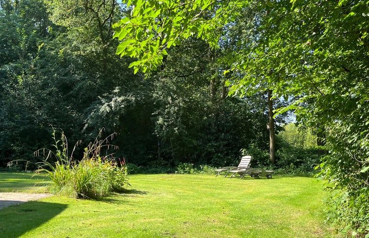 Grosser Garten mit Liegestuehlen in Huisje in Gees, Ferienhaus im Suedosten von Drenthe, umgeben von Baeumen.