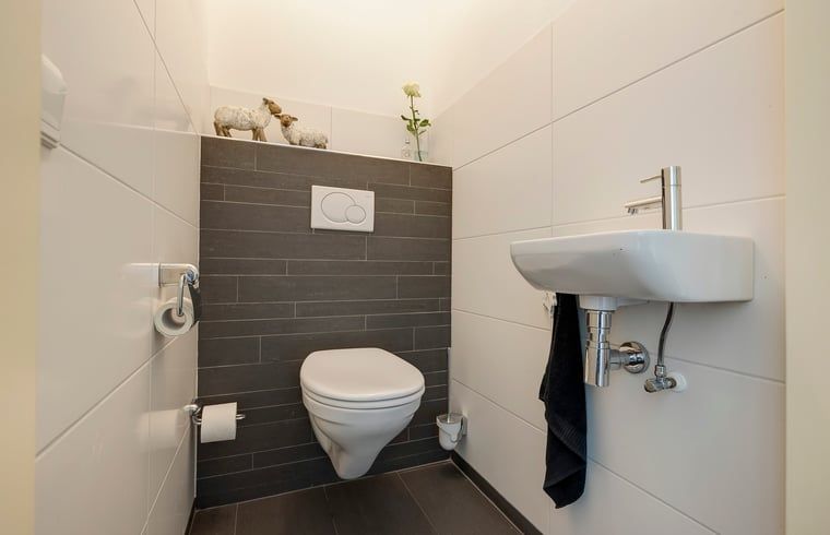 Stilvoller Toilettenraum in Cottage in Gees, Ferienhaus in Suedost-Drenthe, mit moderner Ausstattung.
