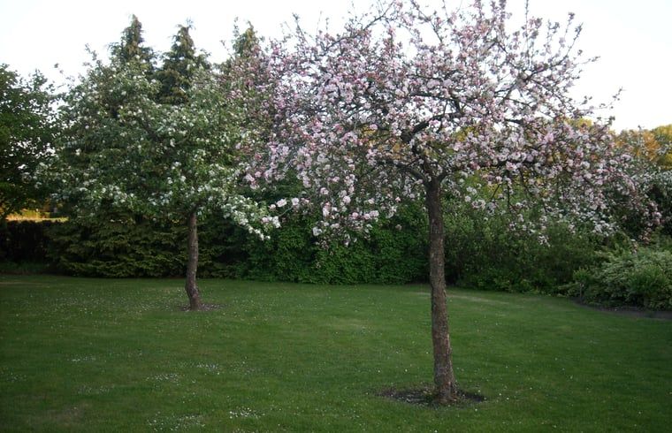 Unterkunft 191611 - Ferienhaus Zuidoost Drenthe - Vakantiehuis in Valthe