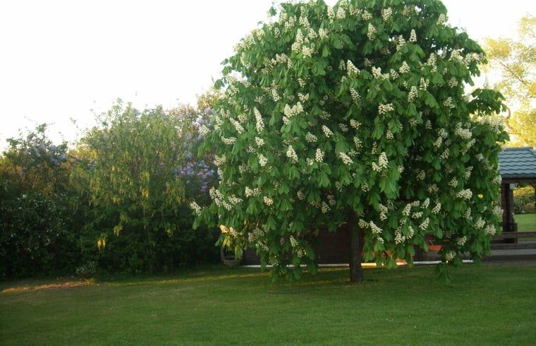 Unterkunft 191611 - Ferienhaus Zuidoost Drenthe - Vakantiehuis in Valthe