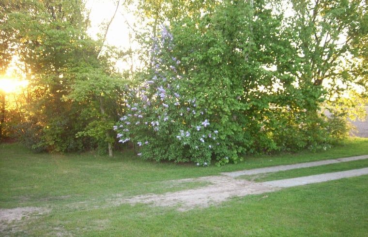 Unterkunft 191611 - Ferienhaus Zuidoost Drenthe - Vakantiehuis in Valthe