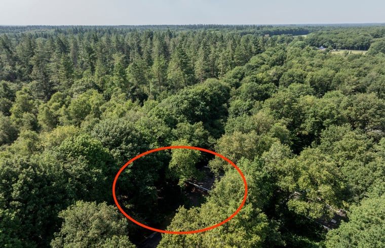 Luchtfoto van Vakantiehuis in Schoonoord, Zuidoost Drenthe omgeven door weelderig groen bos.