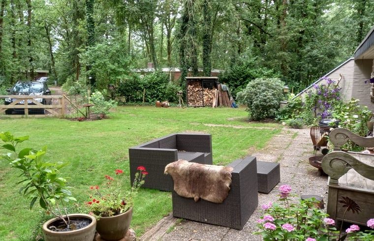 Geniessen Sie die Ruhe und den Frieden auf der Terrasse des Ferienhauses in Schoonoord, umgeben von der Natur in Suedost-Drenthe.