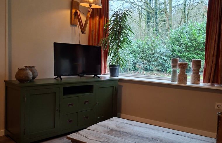 Gemuetliches Wohnzimmer des Ferienhauses in Schoonoord, Suedost-Drenthe, mit Blick auf die gruene Natur und moderner Einrichtung.