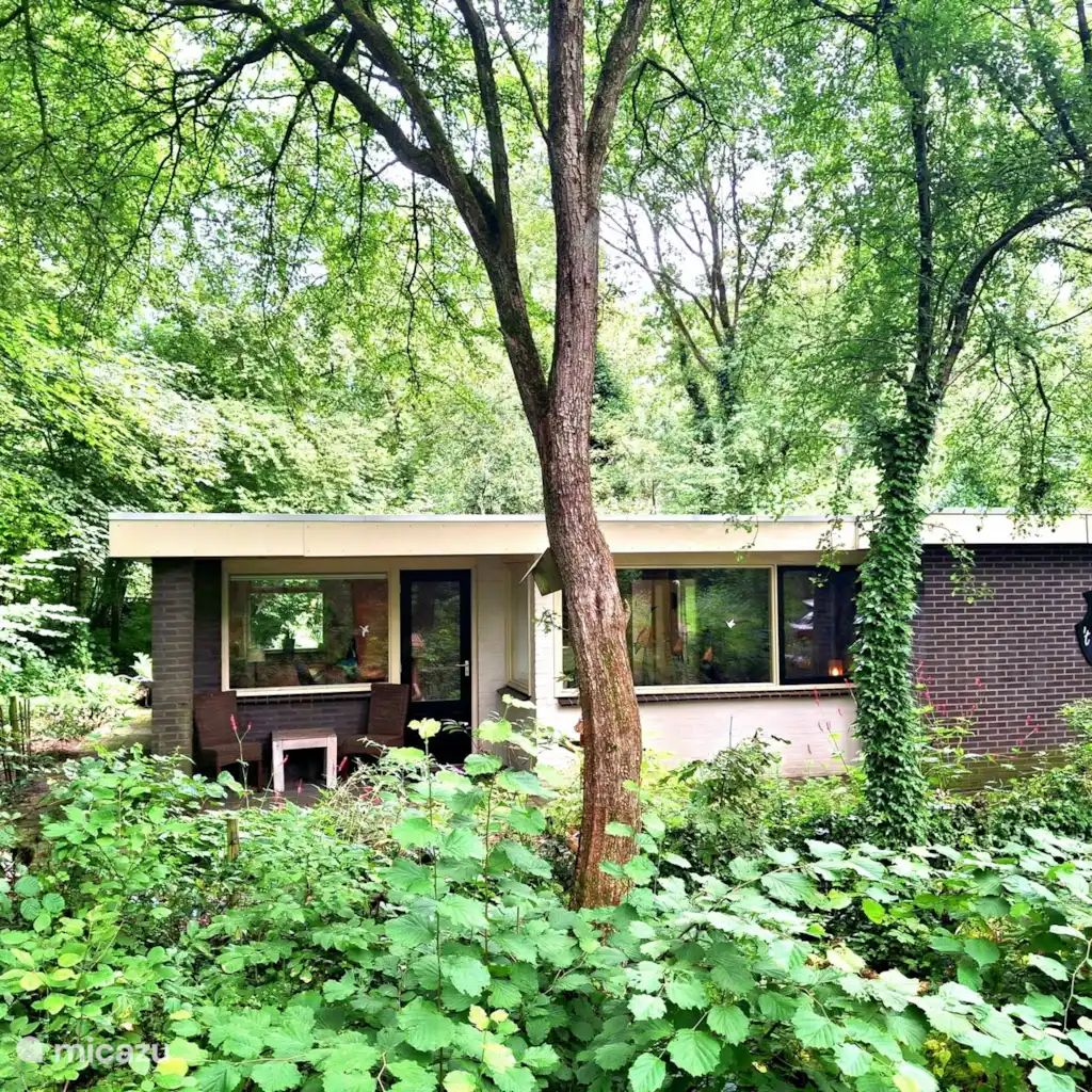 Guest house 191915 - Bungalow Zuidoost Drenthe - T Klokhuis (natuur)lijk genieten