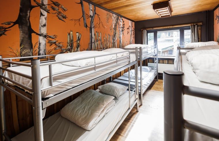 Guest house 192312 - Holiday property Zuidoost Drenthe - Huisje in Erm