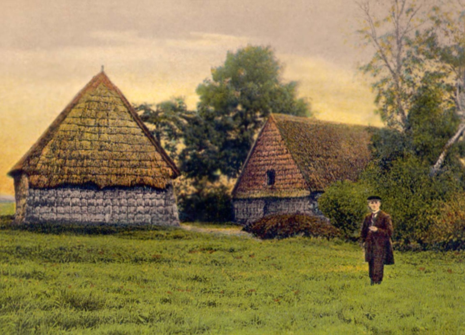 Geniet van de serene natuur rondom vakantiehuis DG2049 in Nieuw-Schoonebeek, Zuidoost Drenthe, omgeven door weelderig groen en rustgevende bossen.