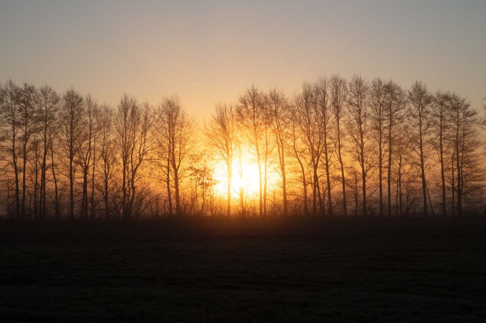 Verblijf 193002 - Vakantiewoning Zuidoost Drenthe - DG2049