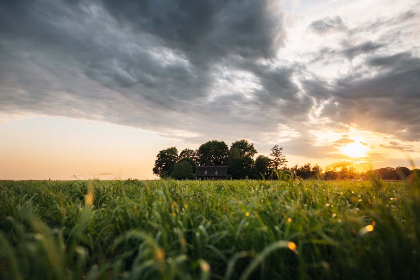Verblijf 193002 - Vakantiewoning Zuidoost Drenthe - DG2049