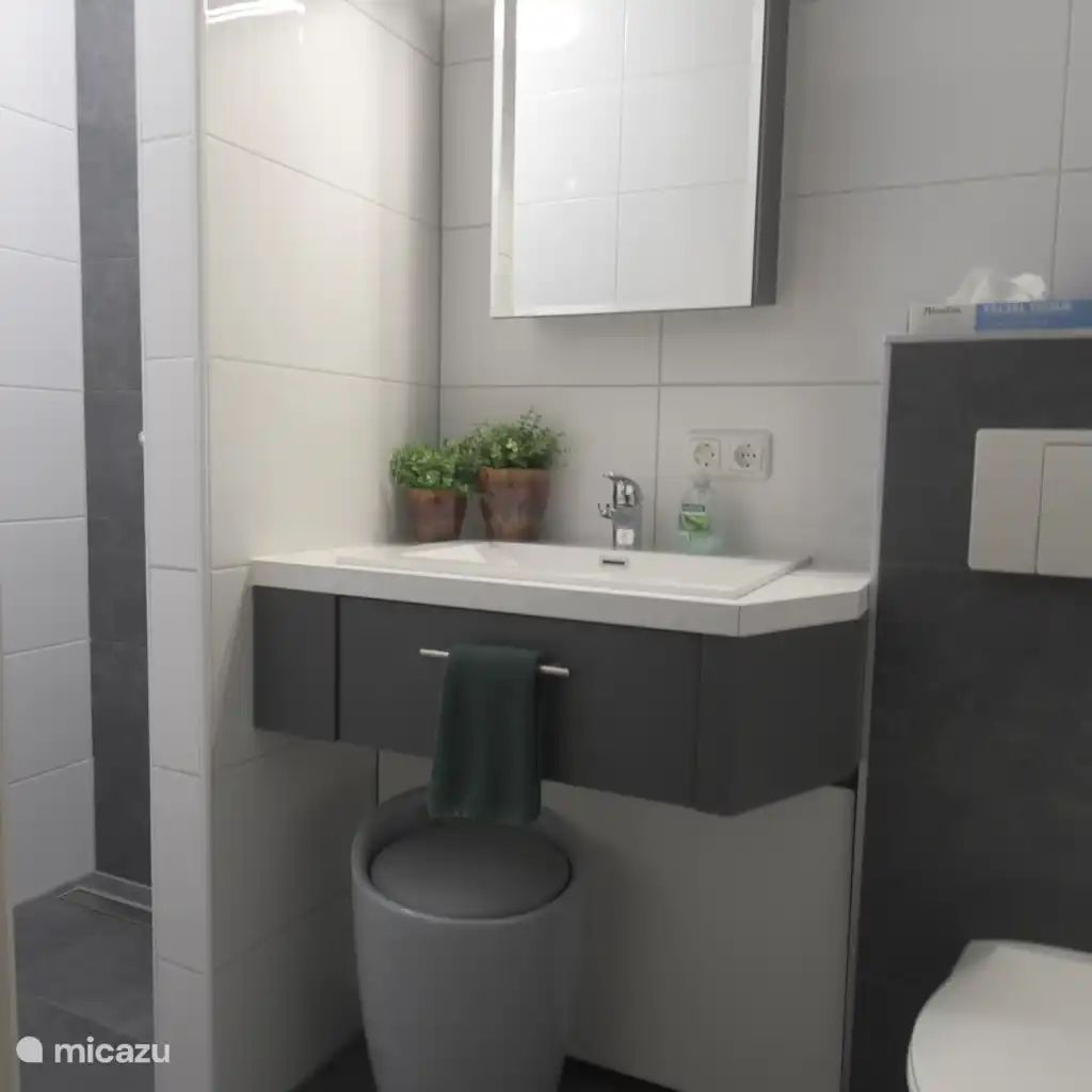 Guest house 193605 - Holiday property Zuidoost Drenthe - Teumige Tied