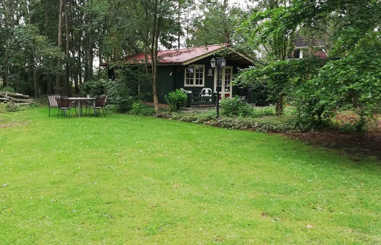 Spacious garden at Holiday Home in 't Haantje, Southeast Drenthe, with green surroundings and terrace.