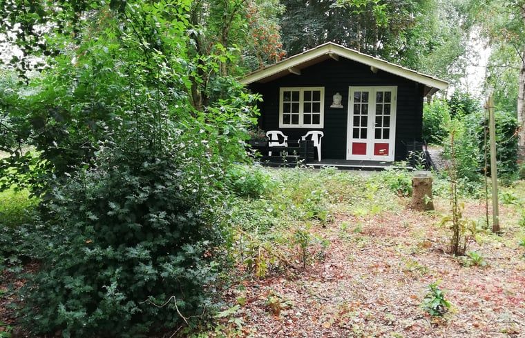 Vacation cottage in 't Haantje, Southeast Drenthe, hidden in nature with inviting terrace.