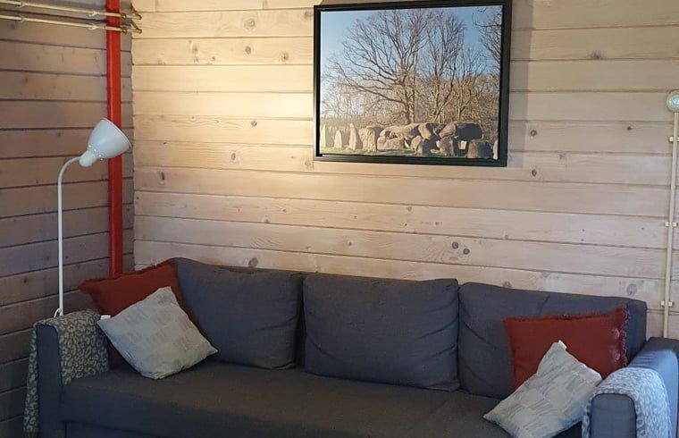 Cozy living room in Holiday Home in 't Haantje, Southeast Drenthe, with comfortable sofa.