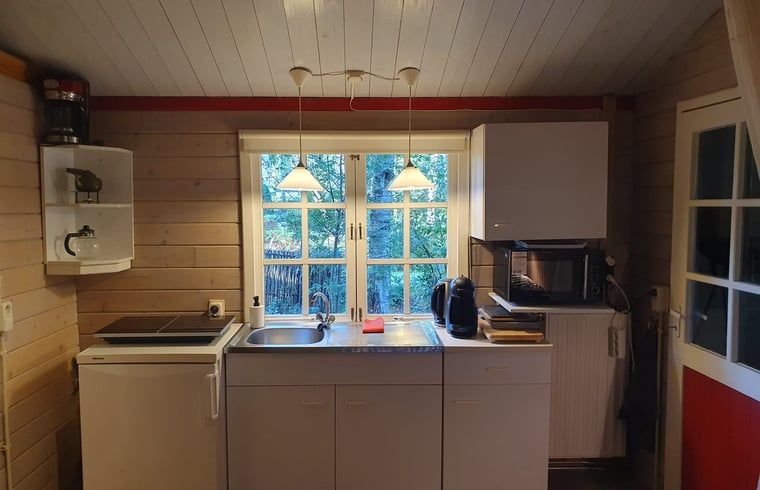 Practical kitchen in Holiday Home in 't Haantje, Southeast Drenthe, with modern appliances.