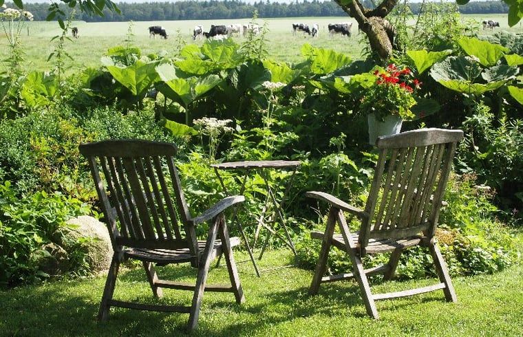 Rustieke zithoek met uitzicht op weiland bij Vakantiehuis in Odoornerveen, Zuidoost Drenthe, Drenthe.