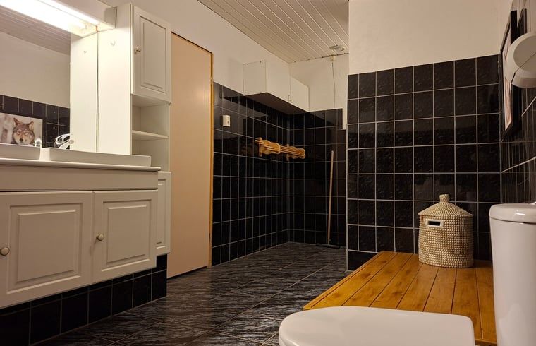 Moderne badkamer met donkere tegels in Vakantiehuis in Odoornerveen, Zuidoost Drenthe, Drenthe.