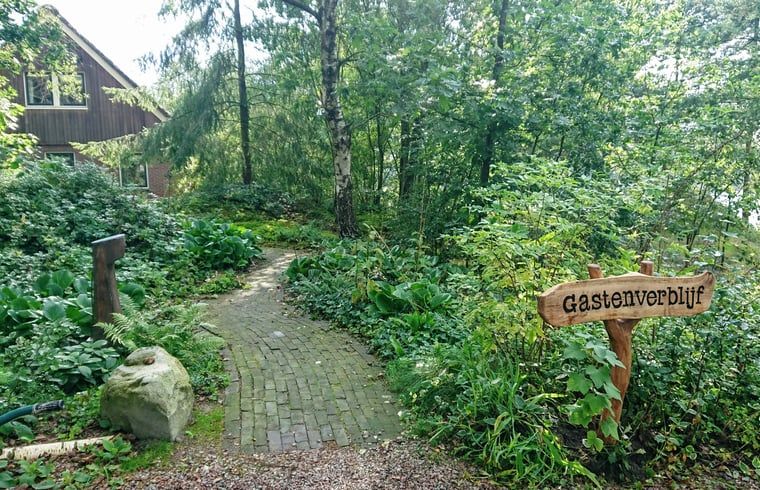Ontdek het Vakantiehuisje in Odoornerveen, Drenthe, omgeven door weelderige natuur en een uitnodigend pad naar het gastenverblijf.