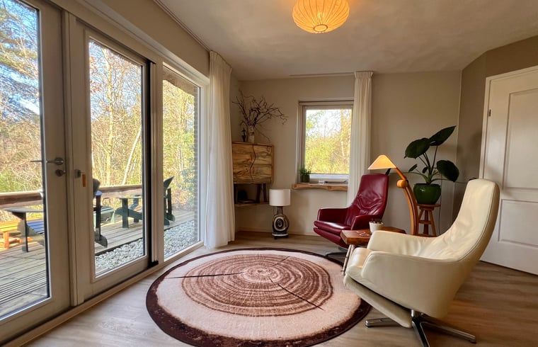 Gezellige woonkamer van Vakantiehuisje in Odoornerveen, Drenthe, met uitzicht op de natuur en toegang tot een zonnig terras.