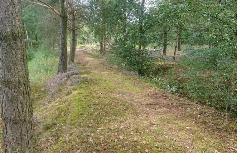 Verblijf 193810 - Vakantiewoning Zuidoost Drenthe - Vakantiehuisje in Odoornerveen